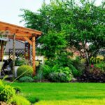 Usługi ogrodnicze – Tak, dla zadbanego ogrodu